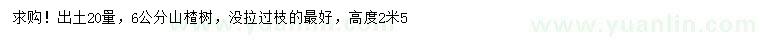 求購20量6公分山楂樹