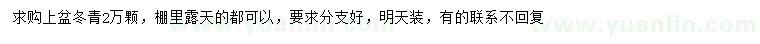 求購(gòu)冬青