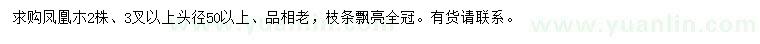 求購鳳凰朩