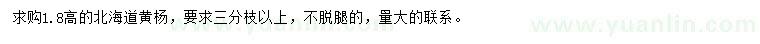 求購(gòu)高1.8米北海道黃楊