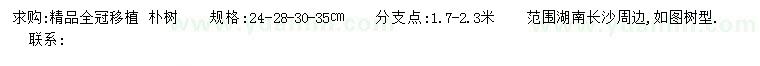 求購24、28、30、35公分樸樹
