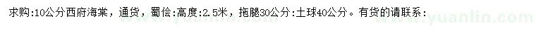 求購10公分西府海棠