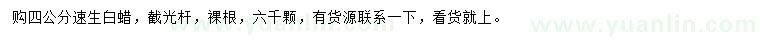 求購4公分速生白蠟