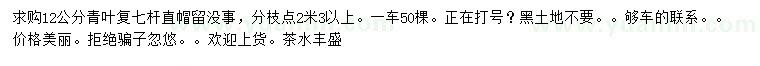求購12公分青葉復(fù)葉槭
