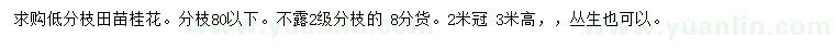 求購冠幅2米桂花