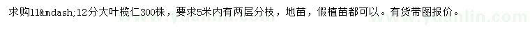 求購11-12公分大葉欖仁