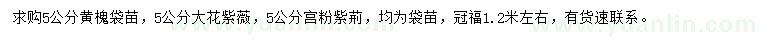 求購(gòu)黃槐、大花紫薇、宮粉紫荊