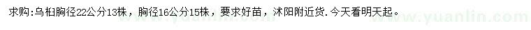 求購胸徑16、22公分烏桕