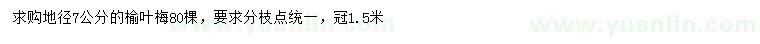 求購地徑7公分榆葉梅