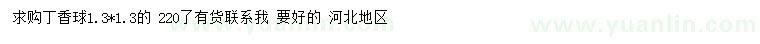 求購1.3米丁香球