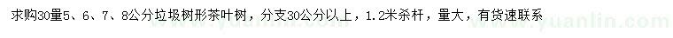 求購(gòu)30量5、6、7、8公分茶葉樹(shù)