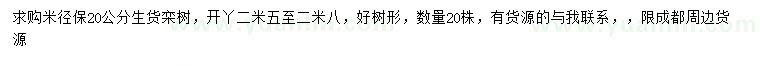 求購米徑20公分欒樹