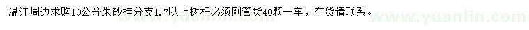 求購10公分朱砂桂