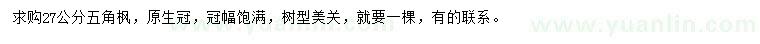 求購(gòu)27公分五角楓