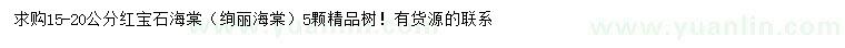 求購15-20公分紅寶石海棠（絢麗海棠）