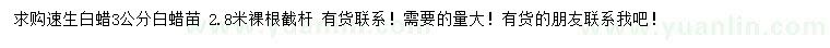 求購(gòu)3公分速生白蠟