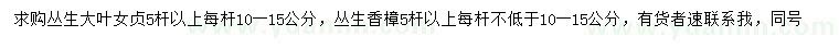 求購叢生大葉女貞、叢生香樟