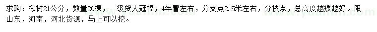 求購(gòu)21公分楸樹(shù)