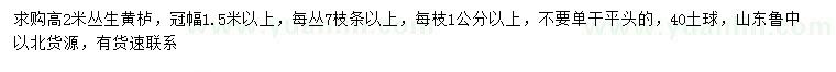 求購高2米叢生黃櫨