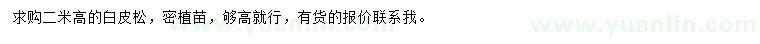 求購高2米白皮松