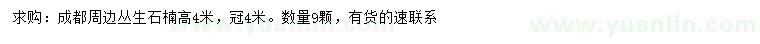 求購(gòu)高4米叢生石楠