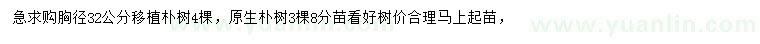 求購胸徑32公分樸樹