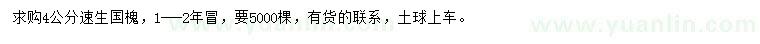 求購4公分速生國槐