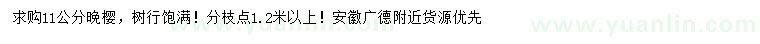 求購11公分晚櫻