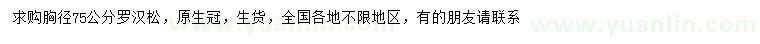求購胸徑75公分羅漢松
