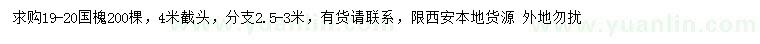 求購19-20公分國槐
