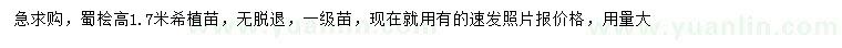 求購高1.7米蜀檜