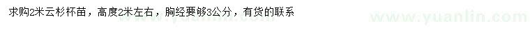 求購(gòu)2米云杉