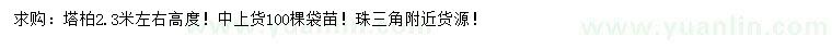 求購高2.3米左右塔柏