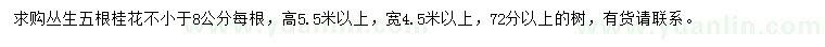 求購(gòu)72公分以上叢生桂花