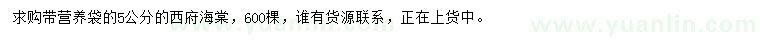 求購5公分西府海棠