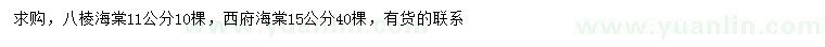 求購(gòu)11公分八棱海棠、15公分西府海棠