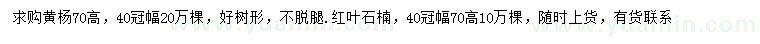 求購高70公分黃楊、紅葉石楠