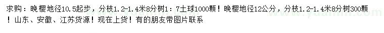 求購地徑10.5公分起步、12公分晚櫻
