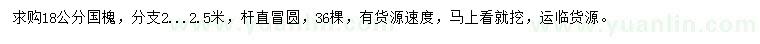 求購18公分國槐