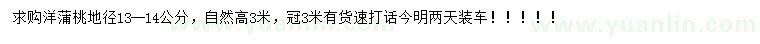 求購地徑13-14公分洋蒲桃