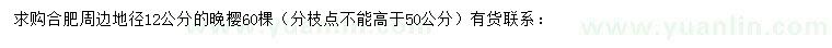 求購地徑12公分晚櫻