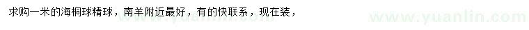 求購1米海桐球