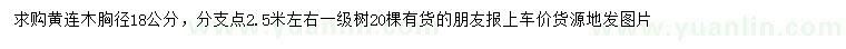 求購胸徑18公分黃連木