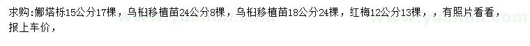 求購娜塔櫟、烏桕、紅梅