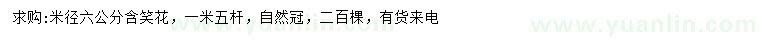求購(gòu)米徑6公分含笑花