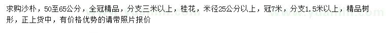 求購(gòu)50-65公分沙樸、米徑25公分以上桂花