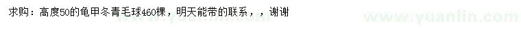 求購(gòu)高50公分龜甲冬青毛球