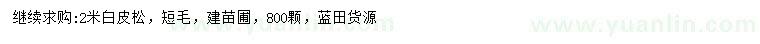 求購2米白皮松