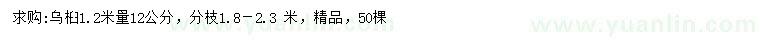 求購1.2米量12公分烏桕