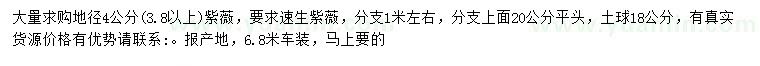求購地徑3.8公分以上紫薇